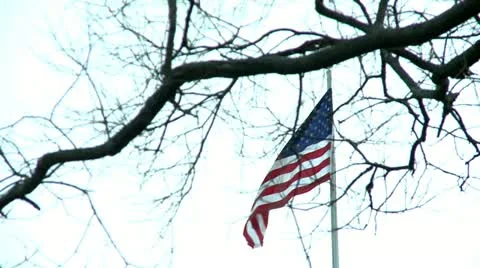 USA Flag on a wind, flag focus Stock Footage 10821053