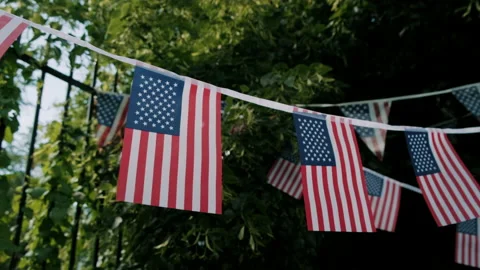 USA Flags on Display outdoors for 4th of July Party Stock Footage 133629177