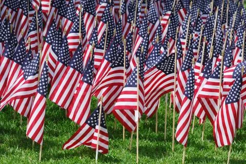 USA flags on the meadow Stock Photos
