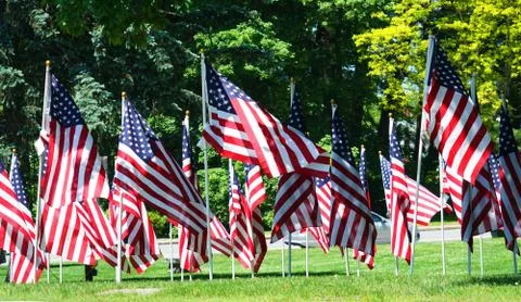 USA flags on the meadow Stock Photos