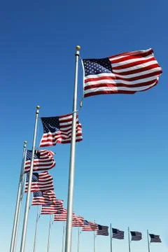 USA flags in a row Stock Photos