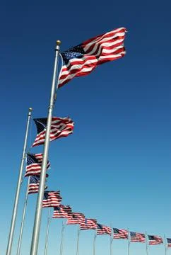 USA flags in a row Stock Photos
