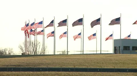 USA Flags on a wind Video stock 10819209