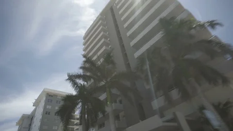 USA Florida trip, palm trees, sunshine, building, travelling LOG Stock Footage 113817147