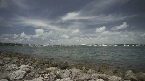 USA Florida trip, palm trees, sunshine, building, travelling LOG Stock Footage 113818073