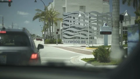 USA Florida trip, palm trees, sunshine, building, travelling LOG Stock Footage 113859622