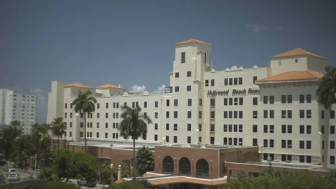 USA Florida trip, palm trees, sunshine, building, travelling LOG Stock Footage 113860080