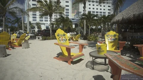 USA Florida trip, palm trees, sunshine, building, travelling LOG Stock Footage 113860449