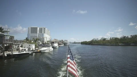 USA Florida trip, palm trees, sunshine, building, travelling LOG Stock Footage 113880433