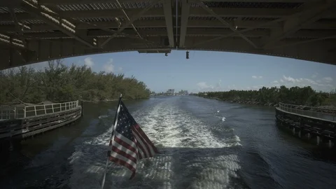 USA Florida trip, palm trees, sunshine, building, travelling LOG Stock Footage 113882087