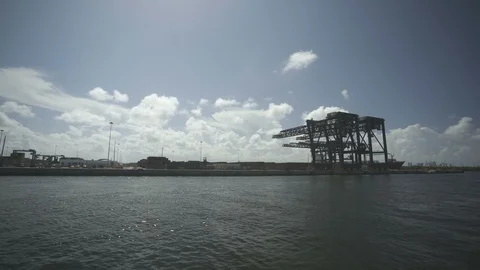 USA Florida trip, palm trees, sunshine, building, travelling LOG Stock Footage 113974871