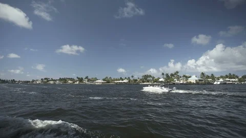 USA Florida trip, palm trees, sunshine, building, travelling LOG Stock Footage 113975663