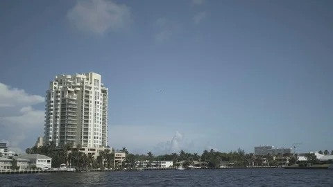 USA Florida trip, palm trees, sunshine, building, travelling LOG Stock Footage 113986357
