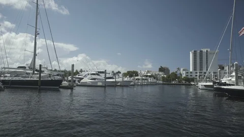 USA Florida trip, palm trees, sunshine, building, travelling LOG Stock Footage 113988965