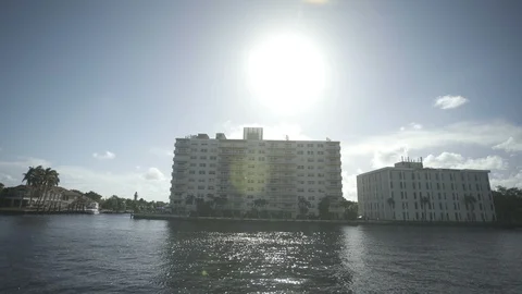 USA Florida trip, palm trees, sunshine, building, travelling LOG Stock Footage 114020552