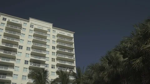 USA Florida trip, palm trees, sunshine, building, travelling LOG Stock Footage 114020599