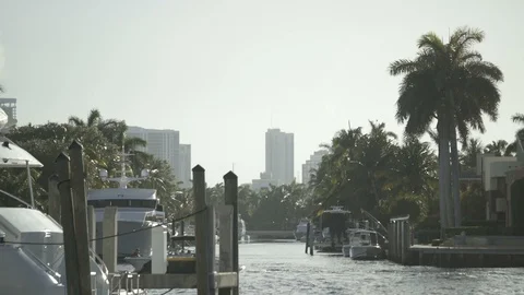 USA Florida trip, palm trees, sunshine, building, travelling LOG Stock Footage 114024372