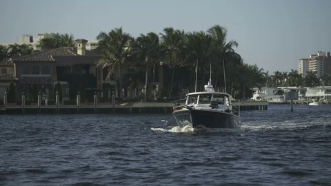 USA Florida trip, palm trees, sunshine, building, travelling LOG Stock Footage 114024983