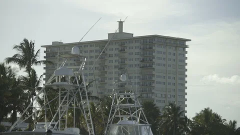 USA Florida trip, palm trees, sunshine, building, travelling LOG Stock Footage 114025326