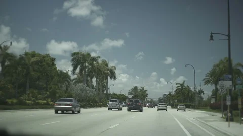 USA Florida trip,traffic,  palm trees, sunshine, building, travelling LOG Stock Footage 113821601