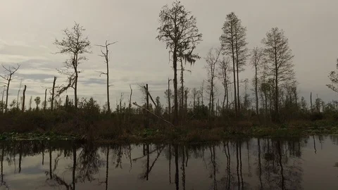 USA Video stock 91616302