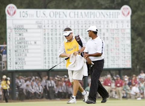 Usa Golf Us Open - Jun 2005 Fotos de archivo