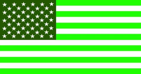 Usa green flag Illustrazione stock