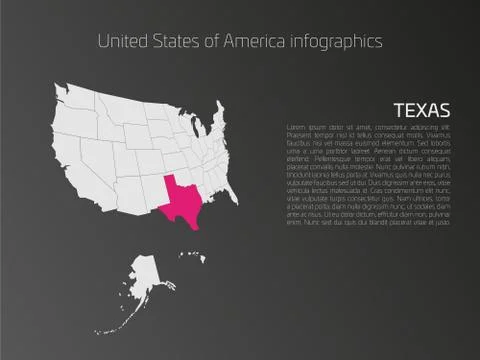 USA map infographics template with highlighted Texas イラスト素材