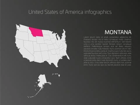 USA map infographics template with highlighted Montana イラスト素材