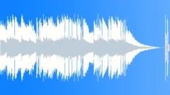 USA National Anthem 30 Sec MixStock Music