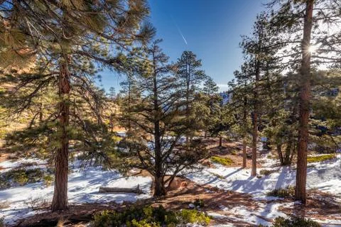 USA national parks Stock Photos
