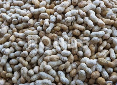 USA, New York City, heap of peanuts Stock Photos