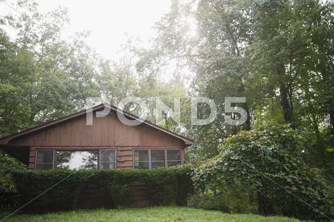 USA, New York, Putnam Valley, Roaring Brook Lake, Summer home in forest Stock Photos