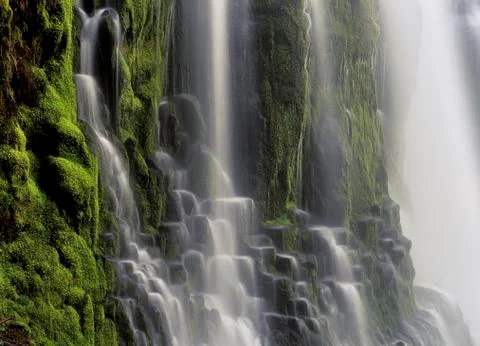 USA, Oregon, Proxy Falls - waterfall details Stock Photos