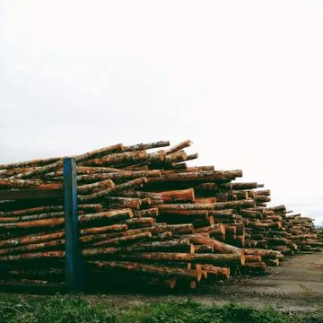 USA, Stack of logs Stock Photos