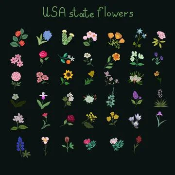 USA state flowers Stock Illustration