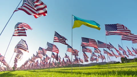USA support Ukraine in aggressive war with Russia,Flag of Ukraine waving in wind 스톡 동영상 237399690