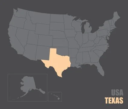 USA Texas map Stock Illustration
