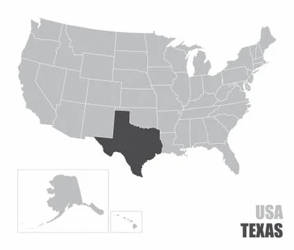 USA Texas map Illustrazione stock