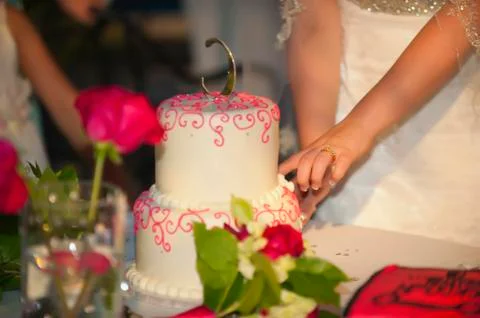 USA, Texas, Young bride cutting wedding cake Stock Photos
