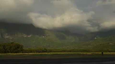 USA: U.S., Allied Partners simulate air assault during RIMPAC 2024 Stock Footage 280615614