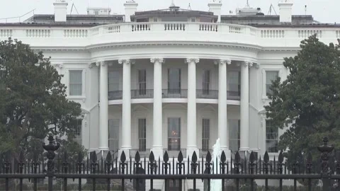 USA: US journalist highlights uncertainty of 2024 election, emphasizes Harri... Video stock 280990169