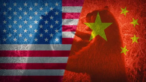 USA Vs China Concept, Dramatic Fighting Bears, 2 Versions Stock Footage 316426559
