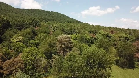 USA-WV-fly-over-forest-hills Stock Footage 133584665
