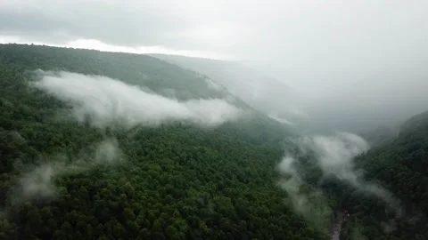 USA-WV-fly-over-mist-mountains Stock Footage 133584823