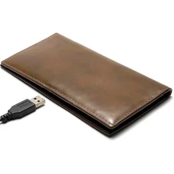 Usb cable and wallet Stock Photos
