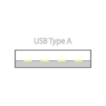 USB connector in a simple design with gold contacts. View in the plane section Stockillustratie