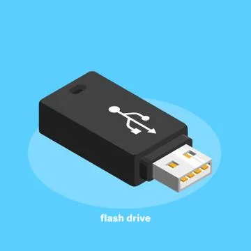 USB flash drive, icon in isometric style Illustrazione stock