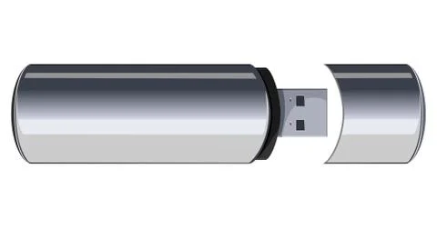 Usb flash memory isolated on the white background Illustrazione stock