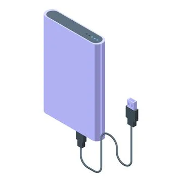 Usb hdd icon isometric vector. Data storage Illustrazione stock